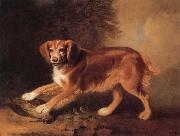 A Celebrated spaniel,the property of colonel joliffe,in a landscape with a woodcock Benjamin Marshall